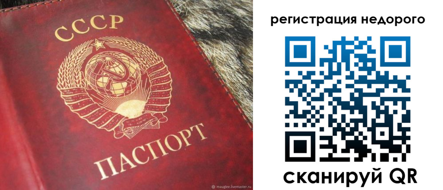 прописка ребенка в Тверской области
